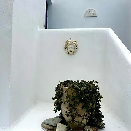 Tinos Zalonis